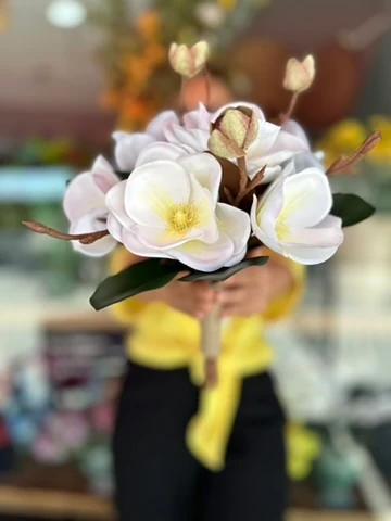 İthal Manolya Gelin Çiçeği | Açıklamayı Okuyunuz