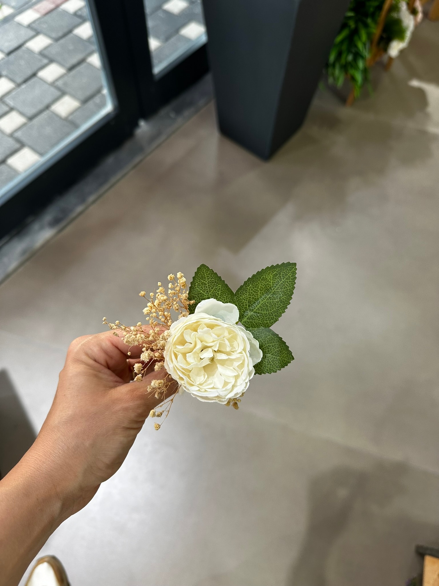 Mini Şakayık Yaka Çiçeği | Açıklamayı Okuyunuz