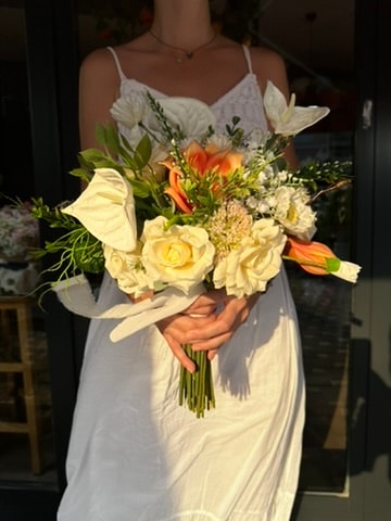 Turuncu Manolya Salaş Gelin Çiçeği