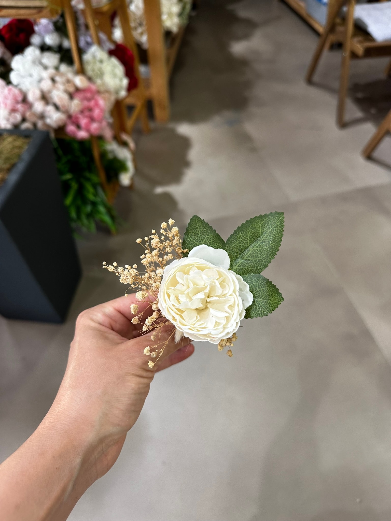 Mini Şakayık Yaka Çiçeği | Açıklamayı Okuyunuz