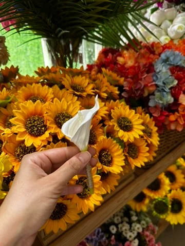 Gala Yaka Çiçeği | Açıklamayı Okuyunuz