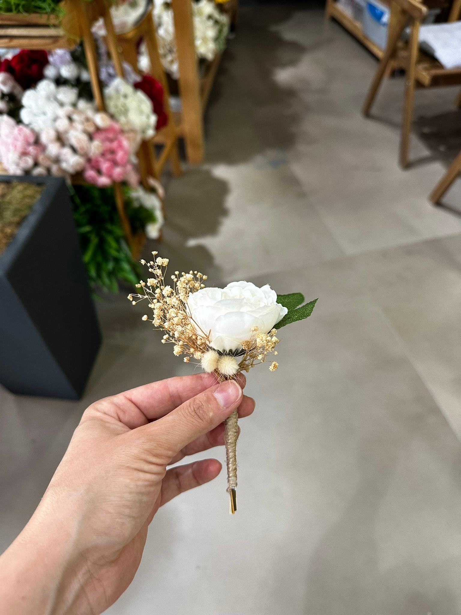 Mini Şakayık Yaka Çiçeği | Açıklamayı Okuyunuz