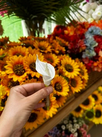 Gala Yaka Çiçeği | Açıklamayı Okuyunuz