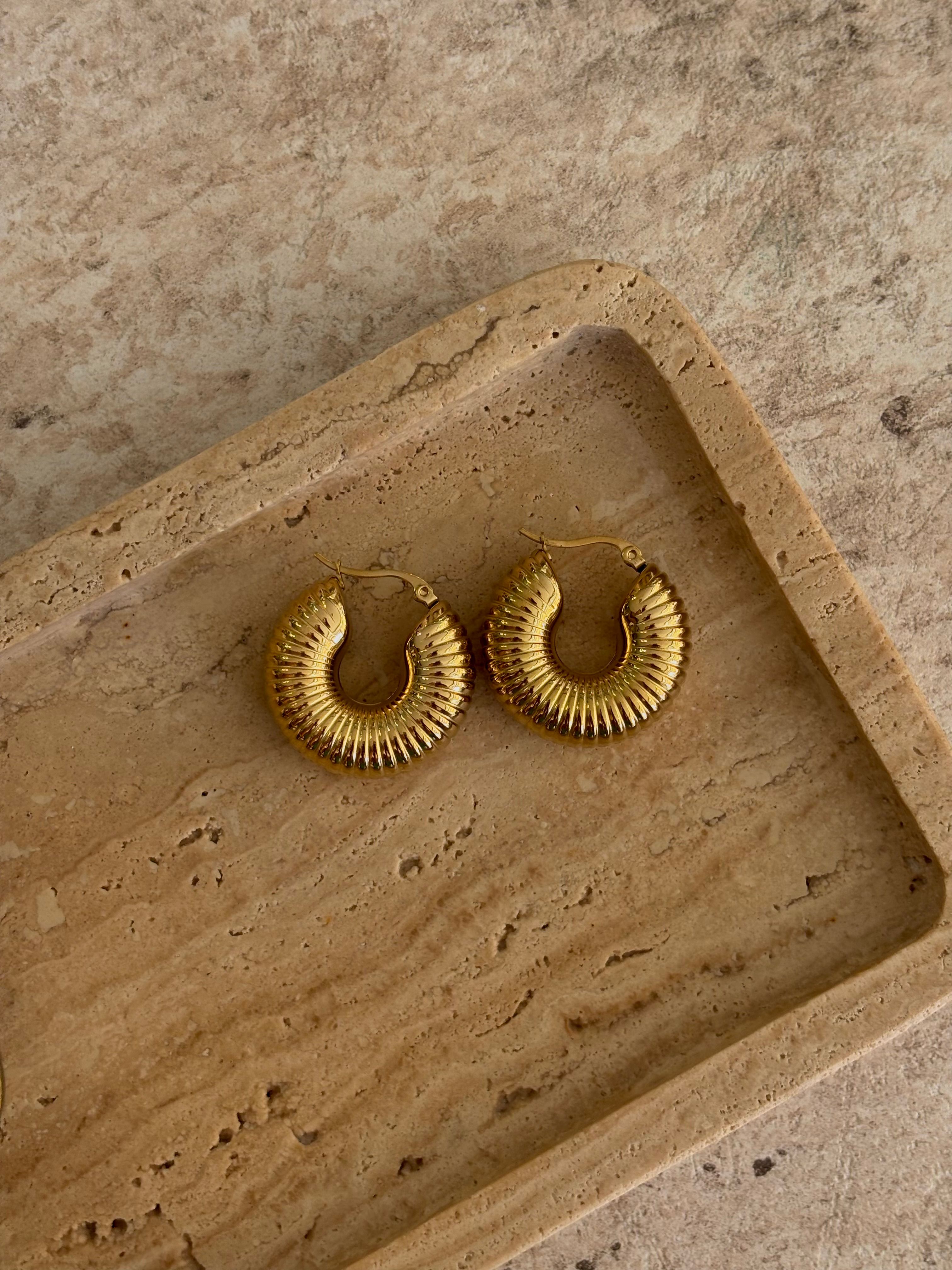 Gold Midye Halka Çelik Küpe