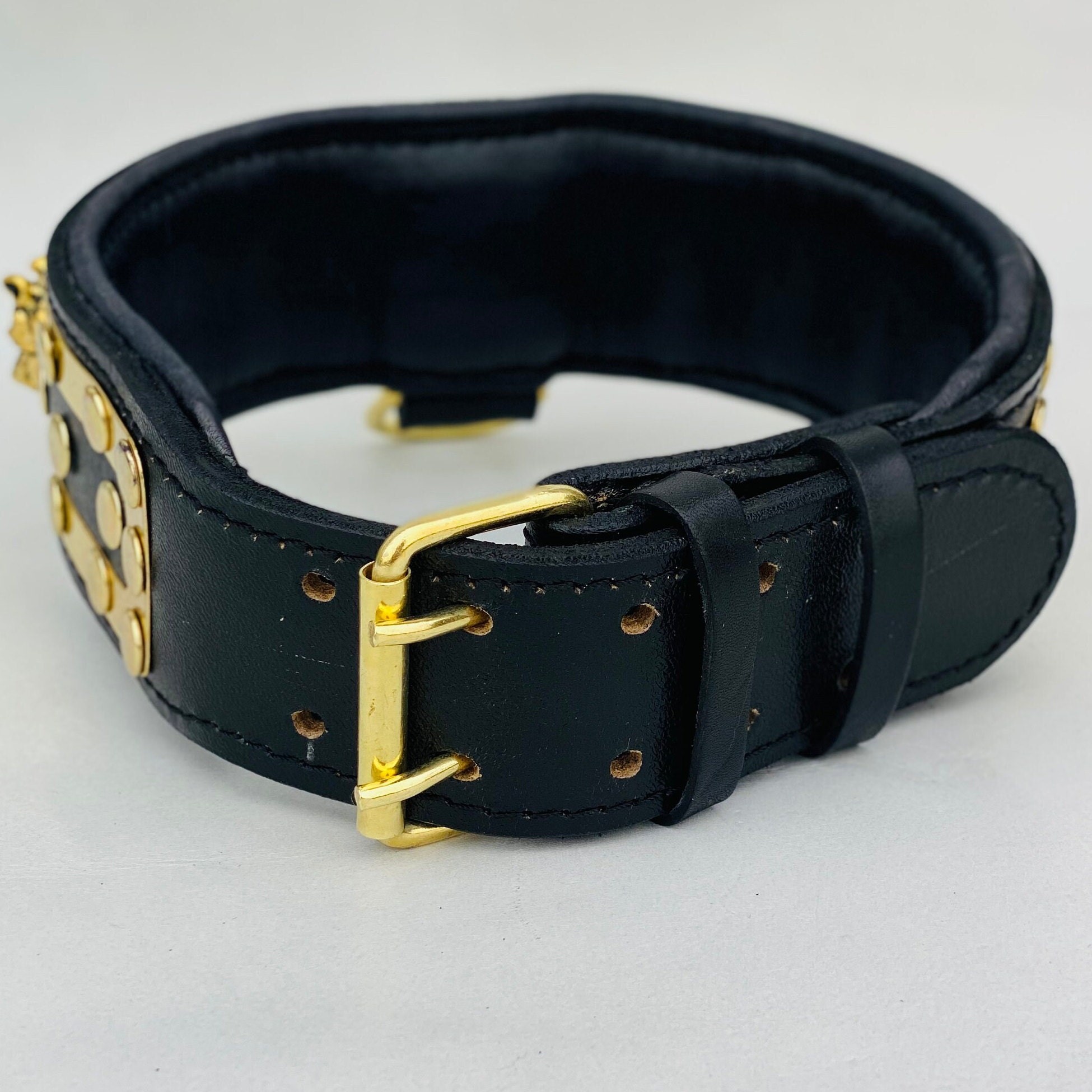 LEATHER DOG NECK COLLAR WITH GOLD PLATE DETAIL (BLACK)