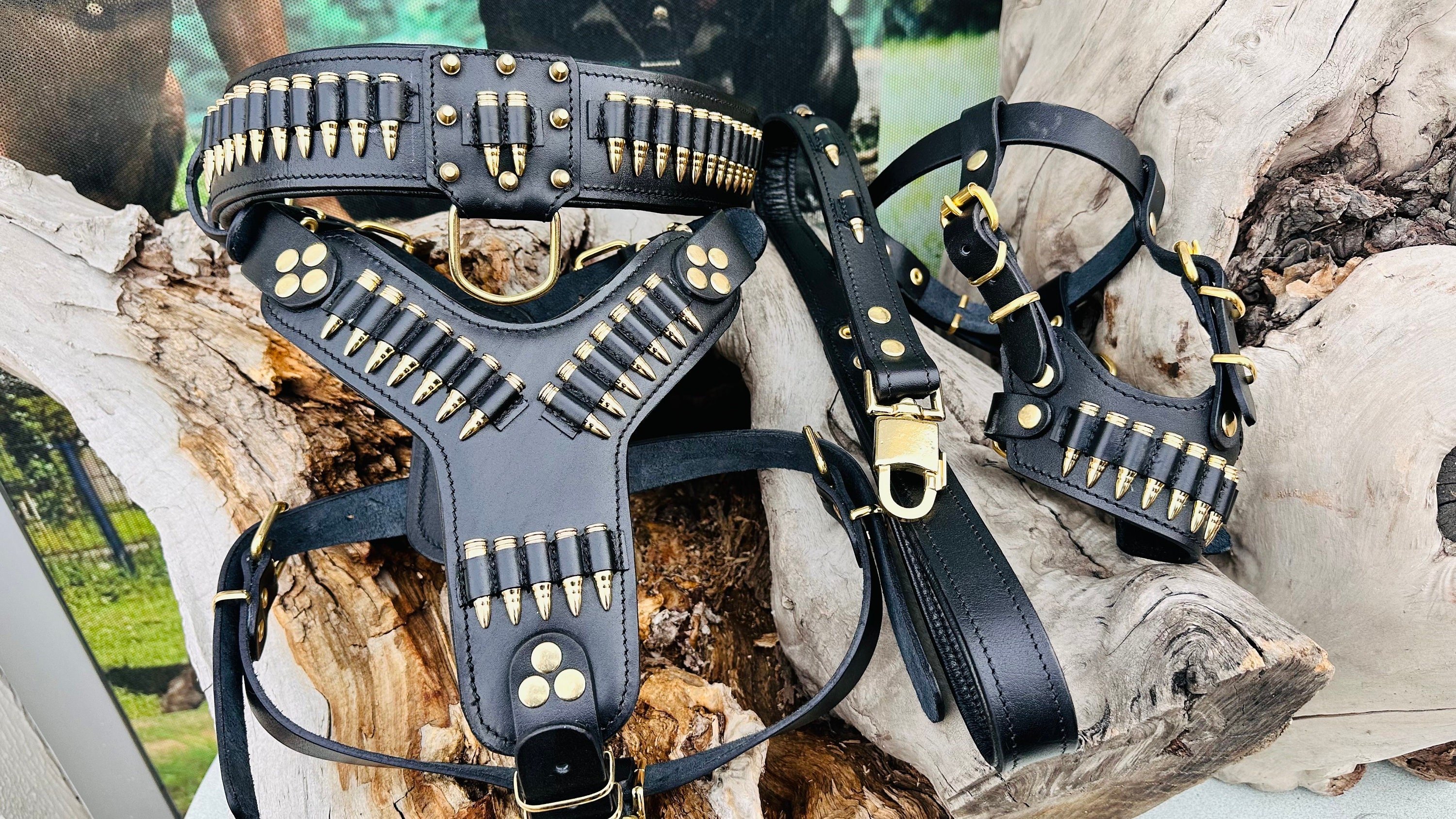 LEATHER DOG NECK COLLAR & CHEST WALKER SET WITH LEAD DETAIL (BLACK-GOLD)