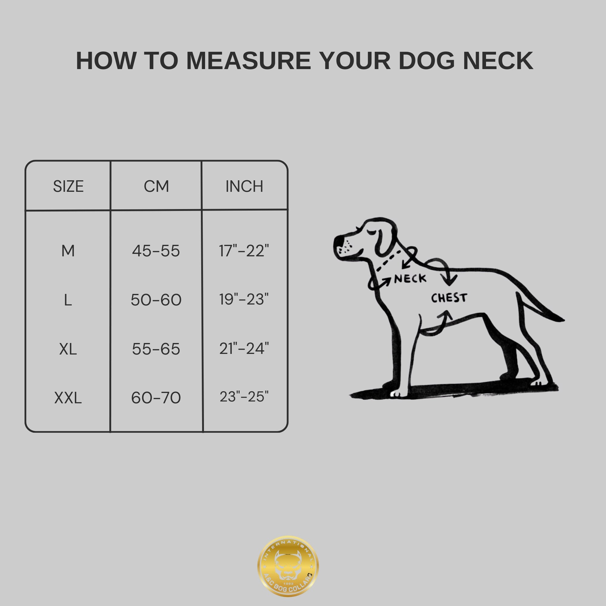 DERİ KÖPEK BOYUN TASMASI İSME ÖZEL (KAHVE)