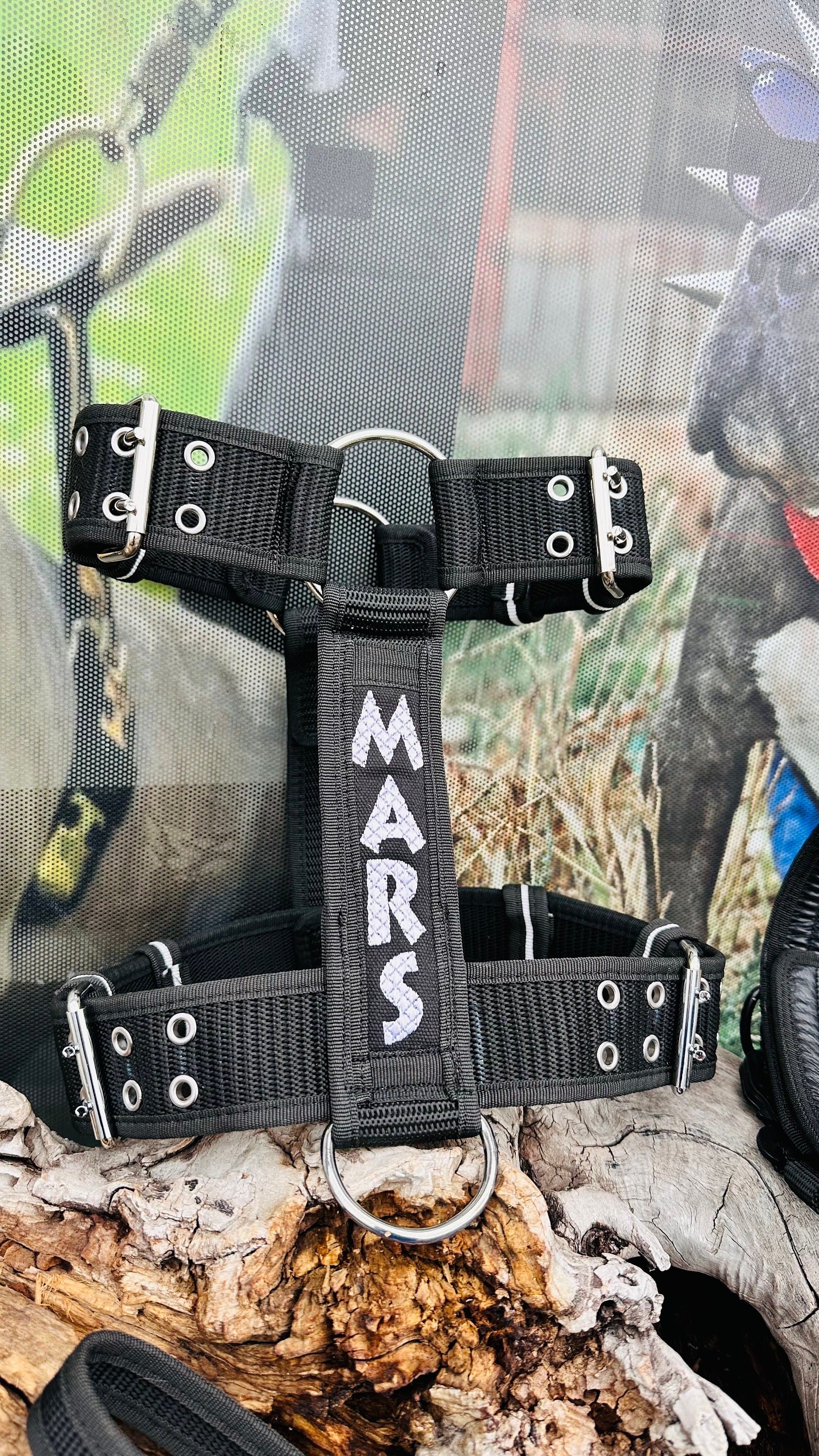 🐕 Özel İsimli Naylon Köpek Tasması Seti – Boyun ve Gezdirme Kayışı