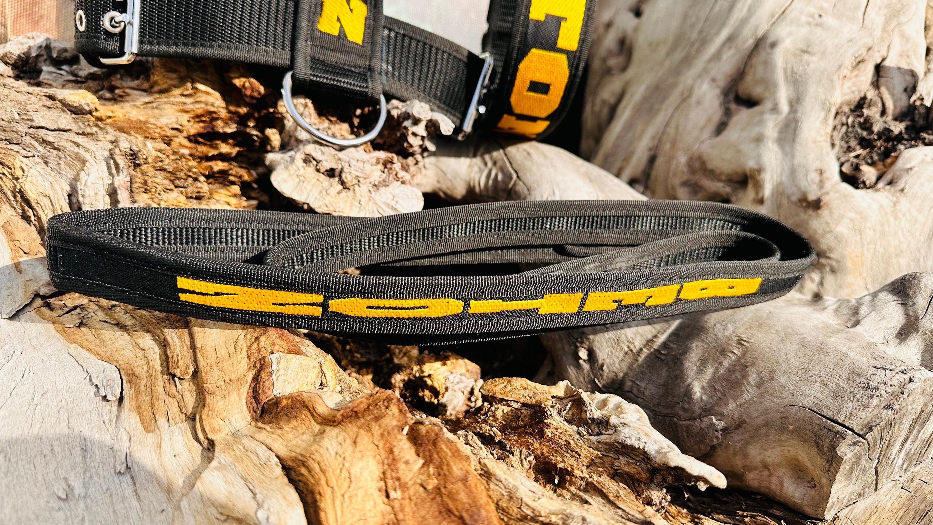 🖤💛 Özel İsimli Sarı Siyah Naylon Köpek Tasması Seti – Boyun, Göğüs ve Gezdirme Kayışı