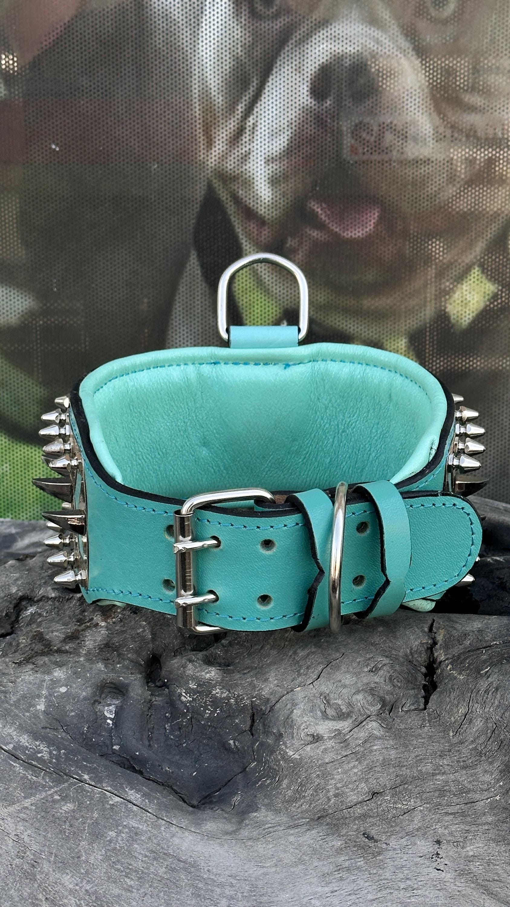 LEATHER DOG NECK COLLAR WITH STEEL BADGE DETAIL (TURQUOISE)