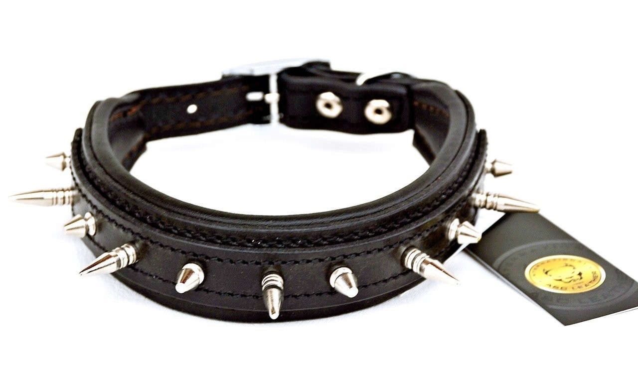 🔩 3 CM Çivili Hakiki Deri Orta Irk Köpek Tasması – Şık ve Dayanıklı Tasarım! 🐕🔥