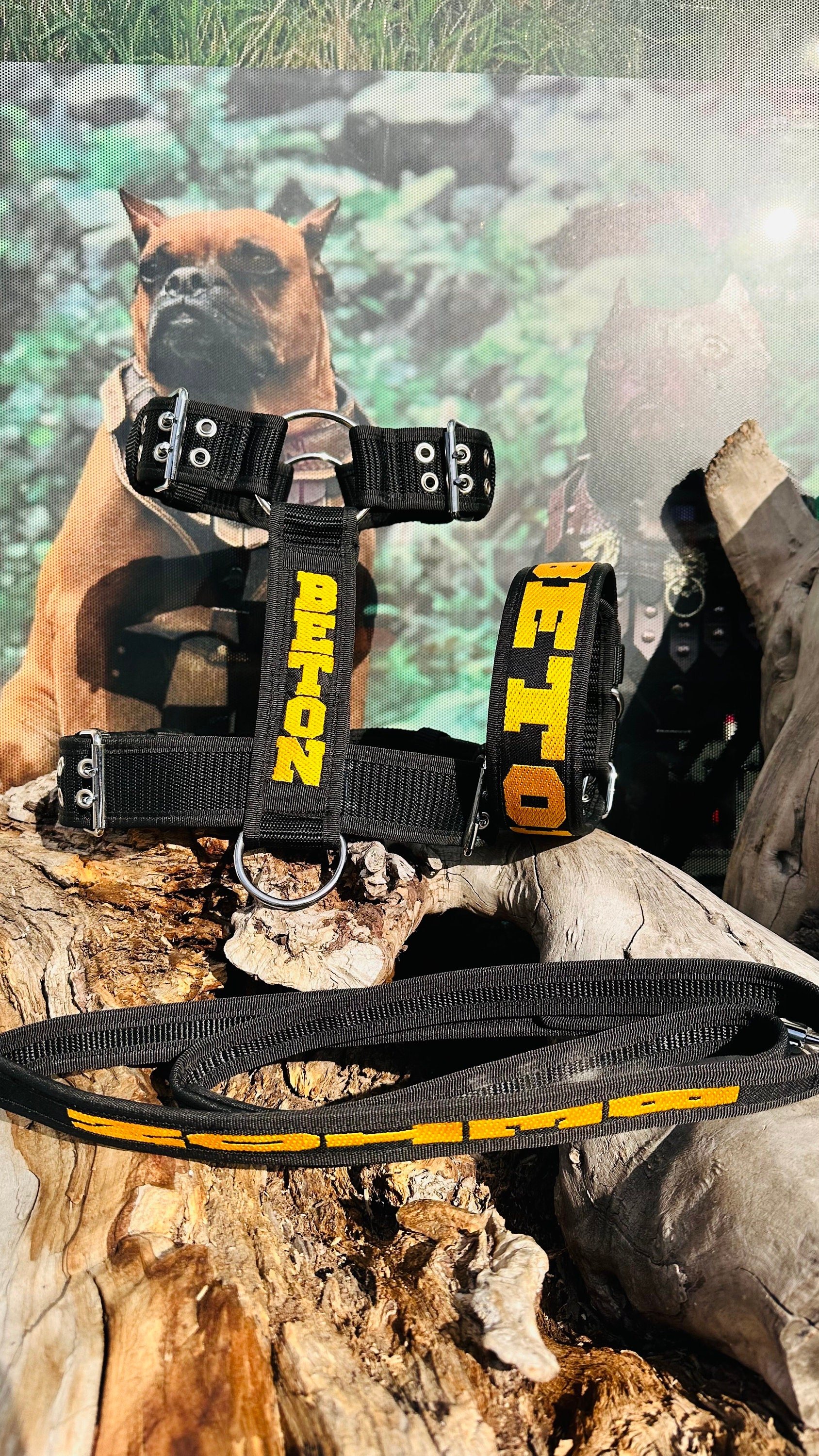 🖤💛 Özel İsimli Sarı Siyah Naylon Köpek Tasması Seti – Boyun, Göğüs ve Gezdirme Kayışı