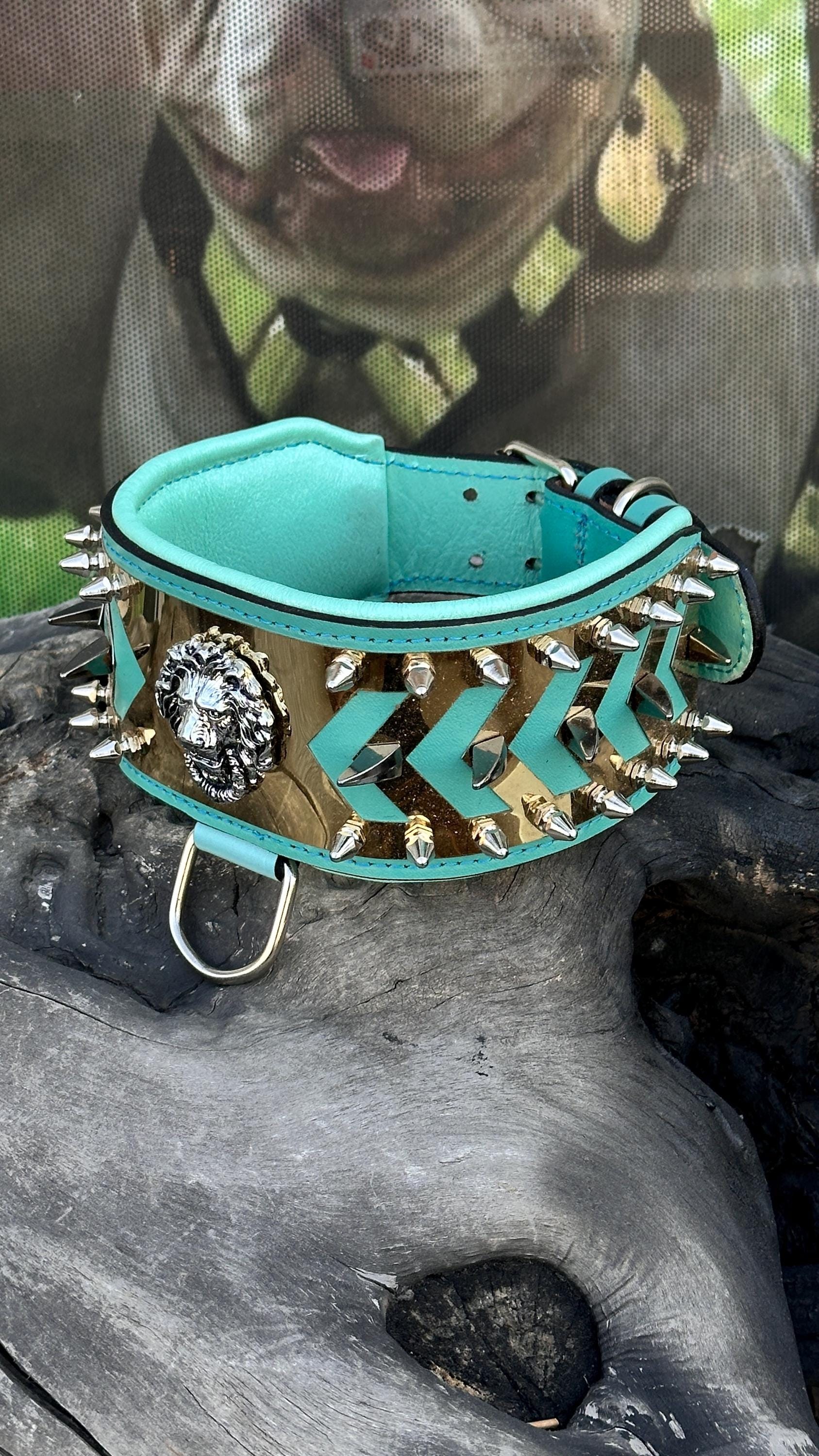 LEATHER DOG NECK COLLAR WITH STEEL BADGE DETAIL (TURQUOISE)