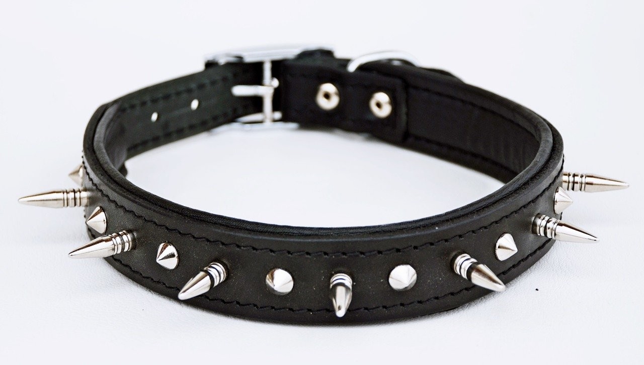 🔩 3 CM Çivili Hakiki Deri Köpek Tasması – Şık ve Dayanıklı Tasarım! 🐕🔥