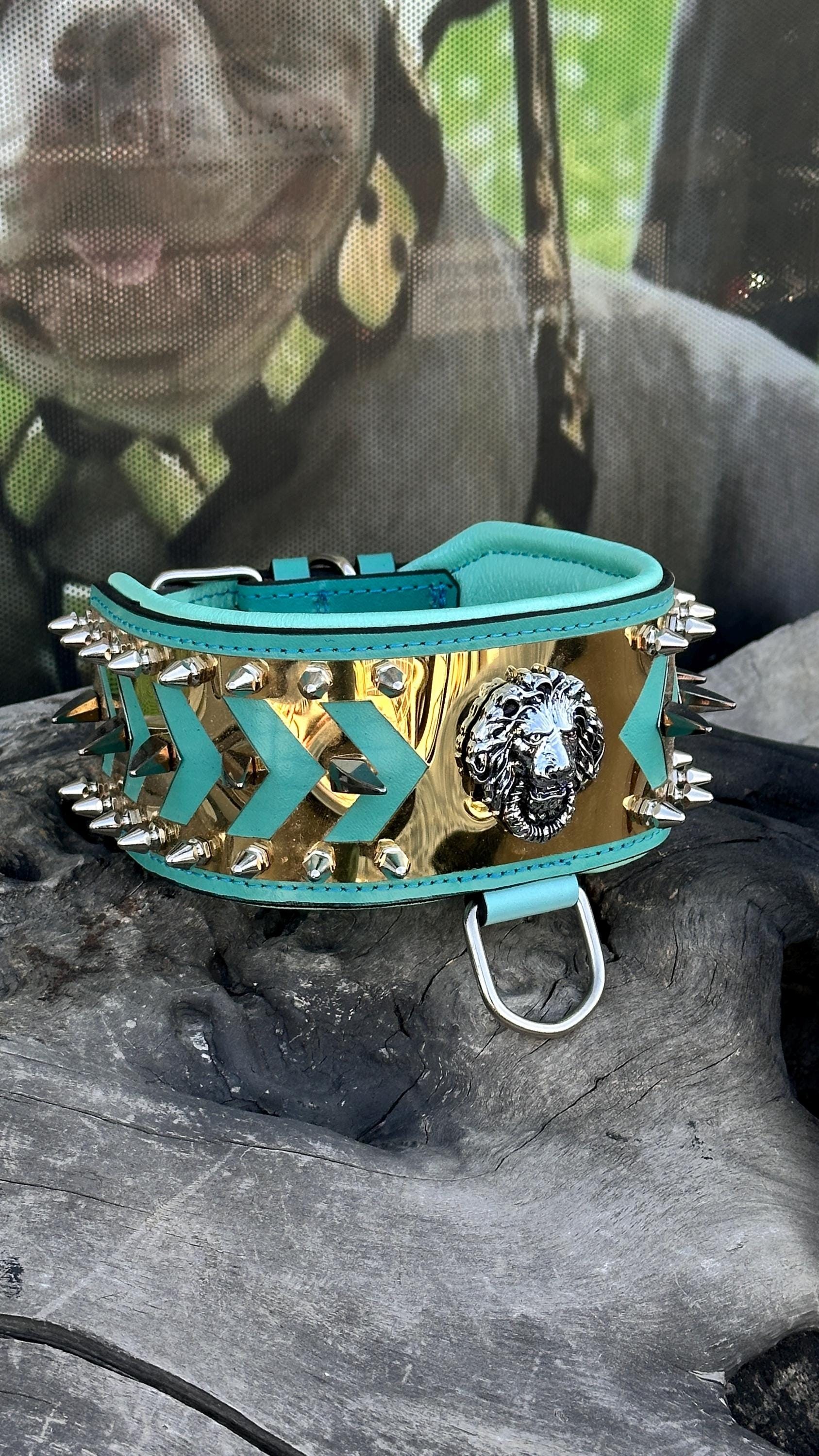 LEATHER DOG NECK COLLAR WITH STEEL BADGE DETAIL (TURQUOISE)