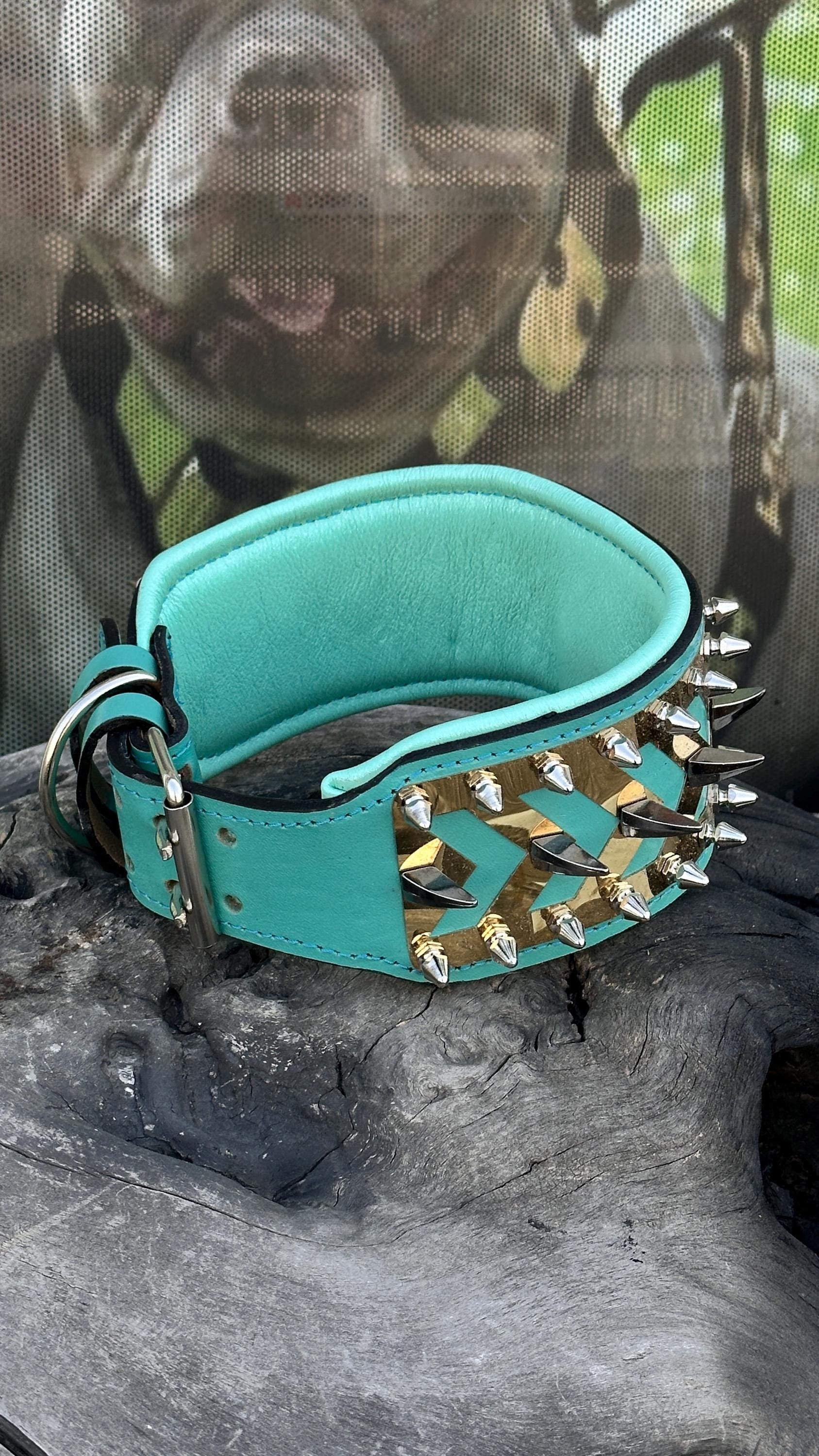 LEATHER DOG NECK COLLAR WITH STEEL BADGE DETAIL (TURQUOISE)