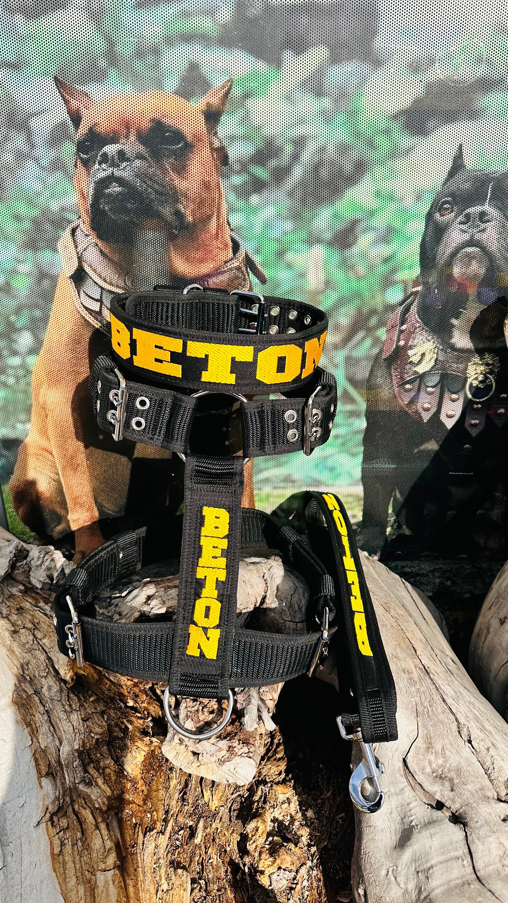 🖤💛 Özel İsimli Sarı Siyah Naylon Köpek Tasması Seti – Boyun, Göğüs ve Gezdirme Kayışı