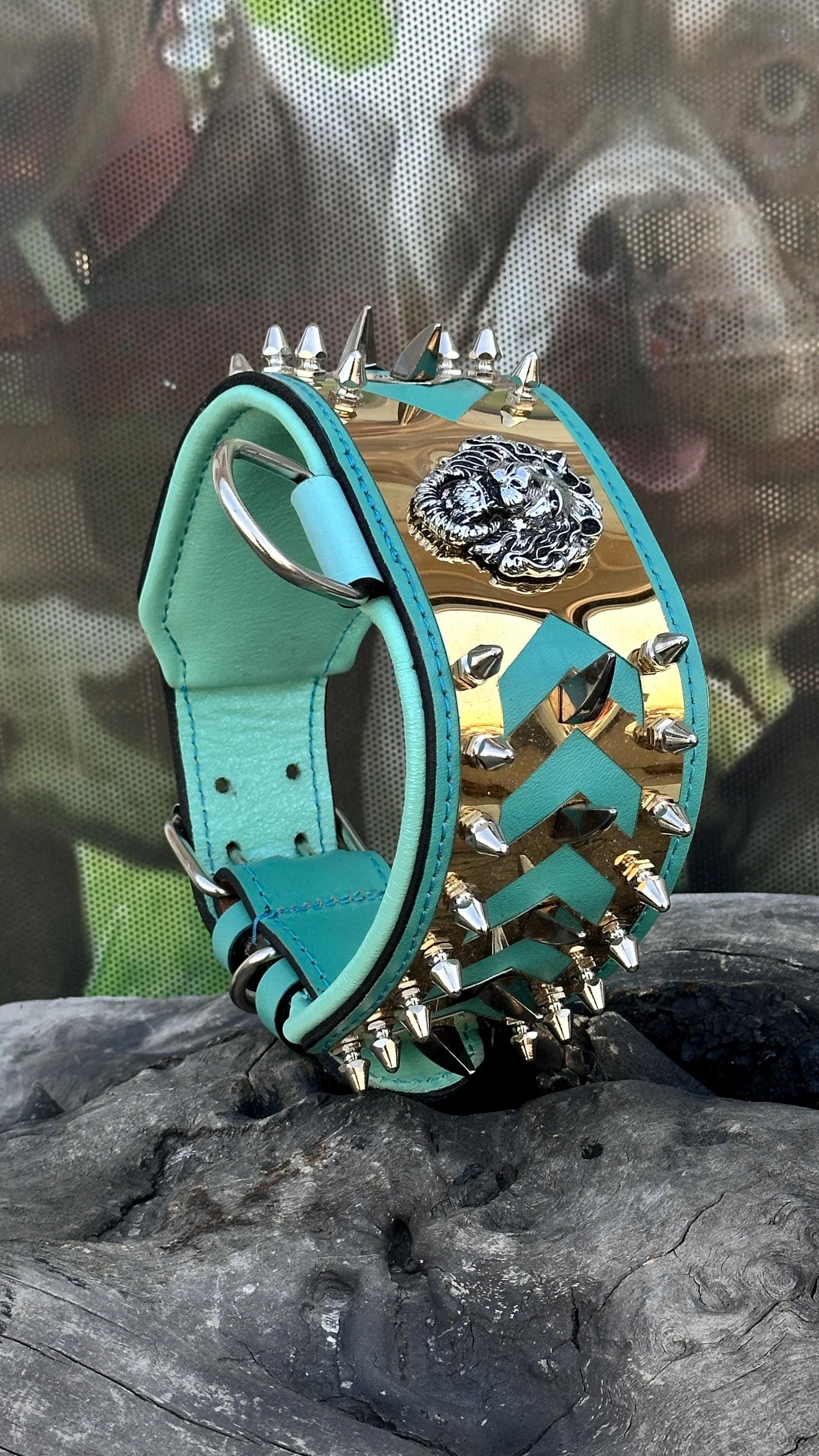 LEATHER DOG NECK COLLAR WITH STEEL BADGE DETAIL (TURQUOISE)
