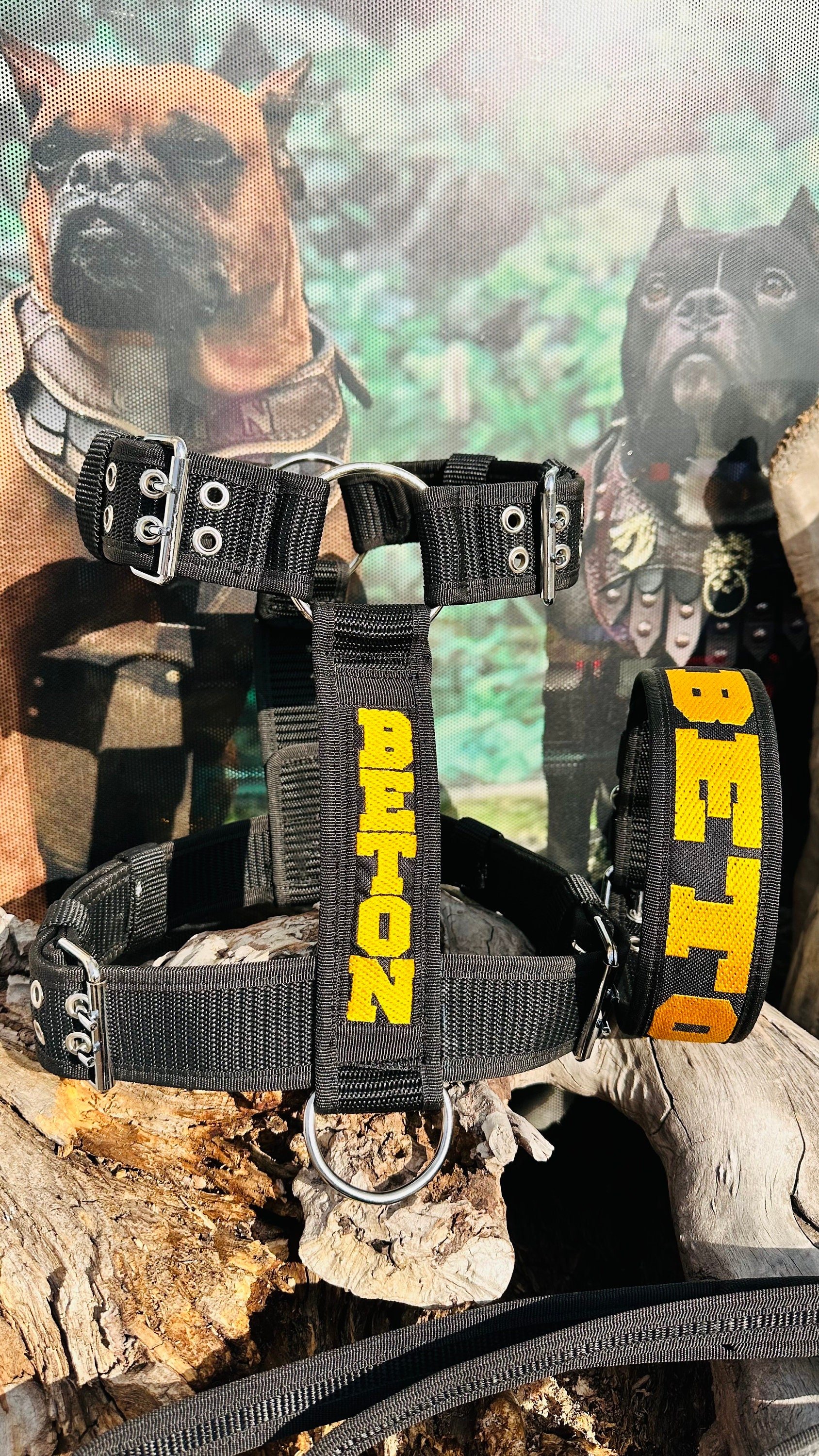 🖤💛 Özel İsimli Sarı Siyah Naylon Köpek Tasması Seti – Boyun, Göğüs ve Gezdirme Kayışı