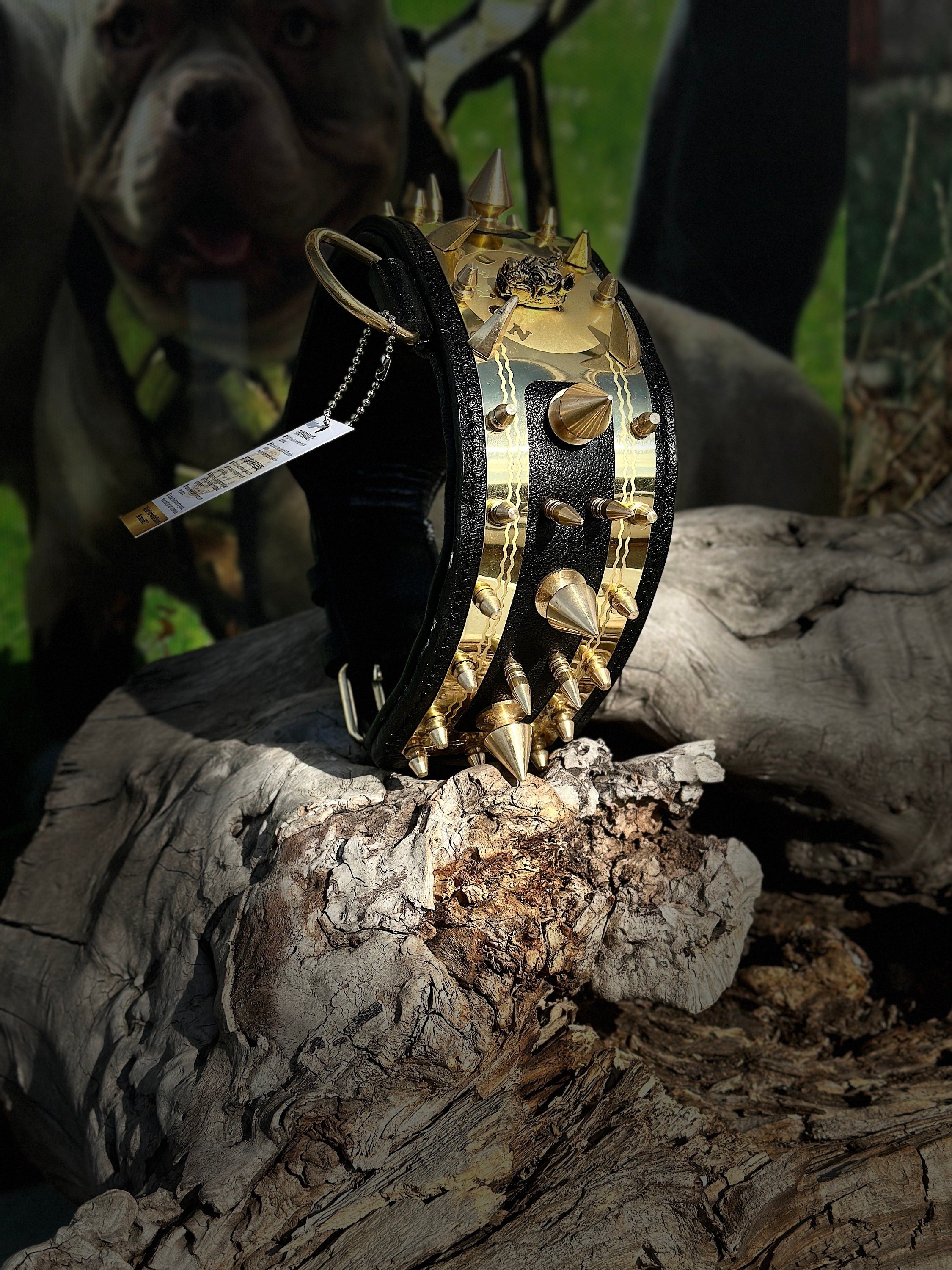 LEATHER NECK COLLAR SPECIALLY DESIGNED FOR YOUR FRIEND'S NAME (BLACK-GOLD)