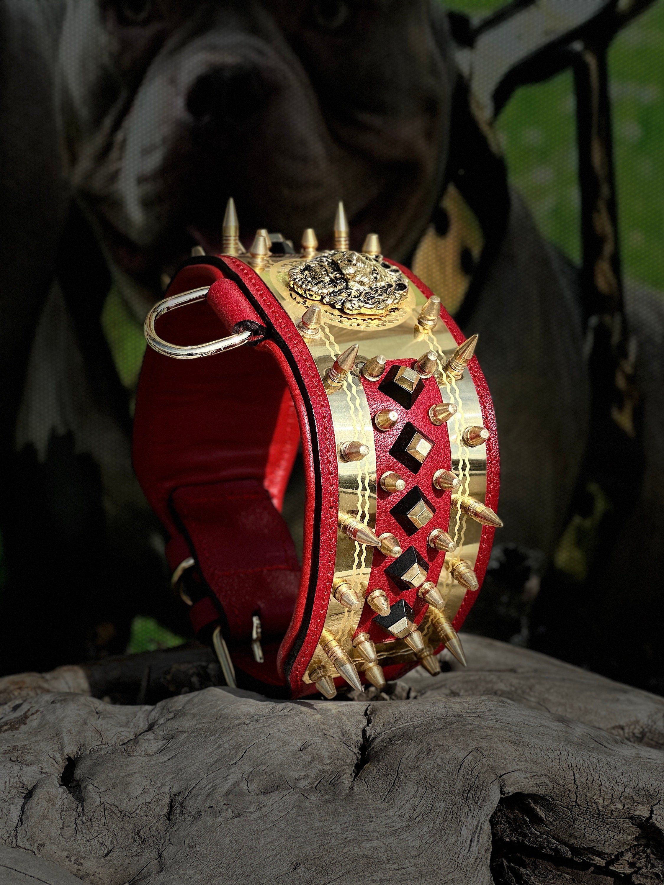 ÖZEL TASARIM GOLD ROZET DERİ KÖPEK BOYUN TASMASI (KIRMIZI)