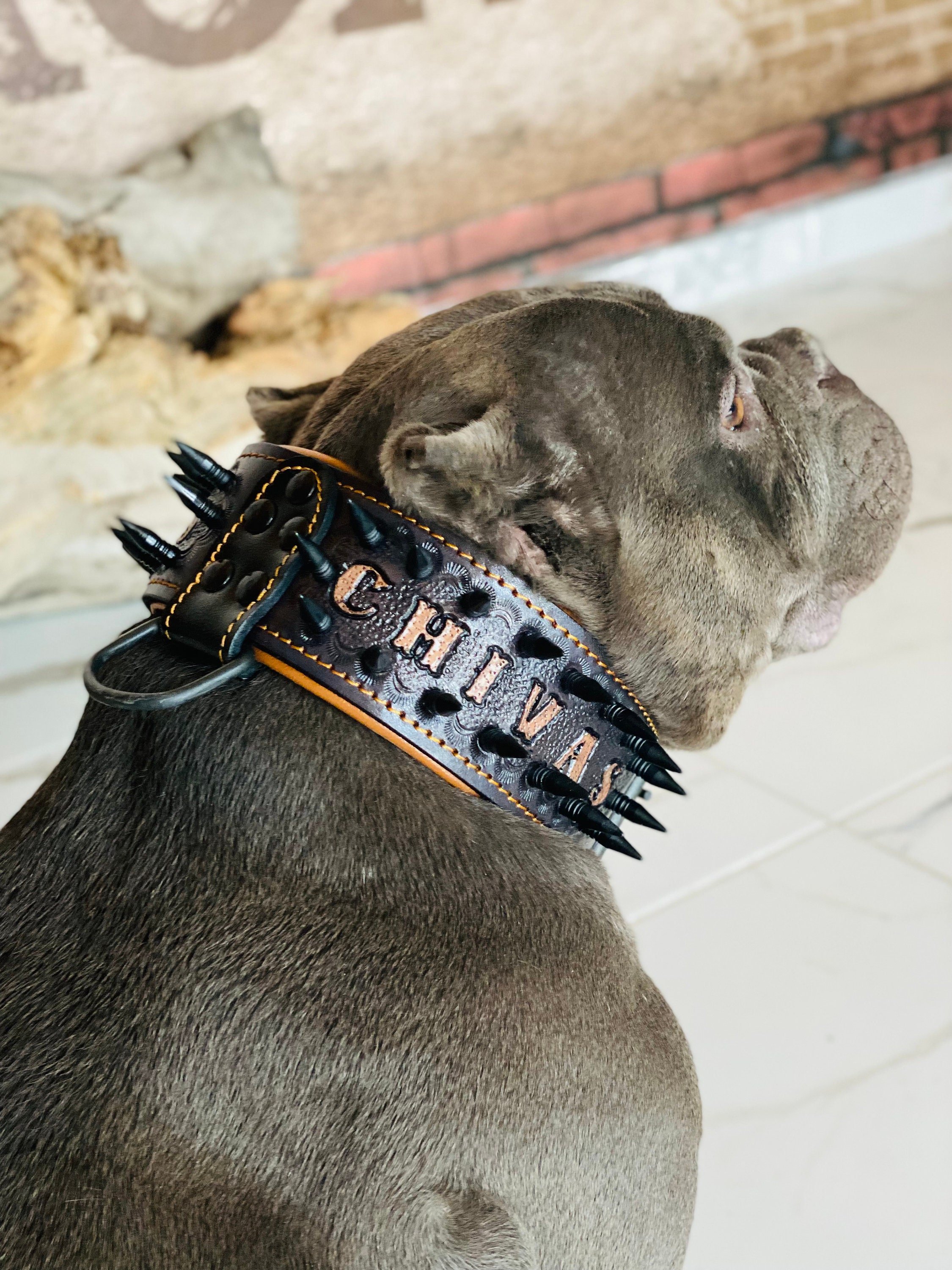DERİ KÖPEK TASARIM BOYUN TASMASI 