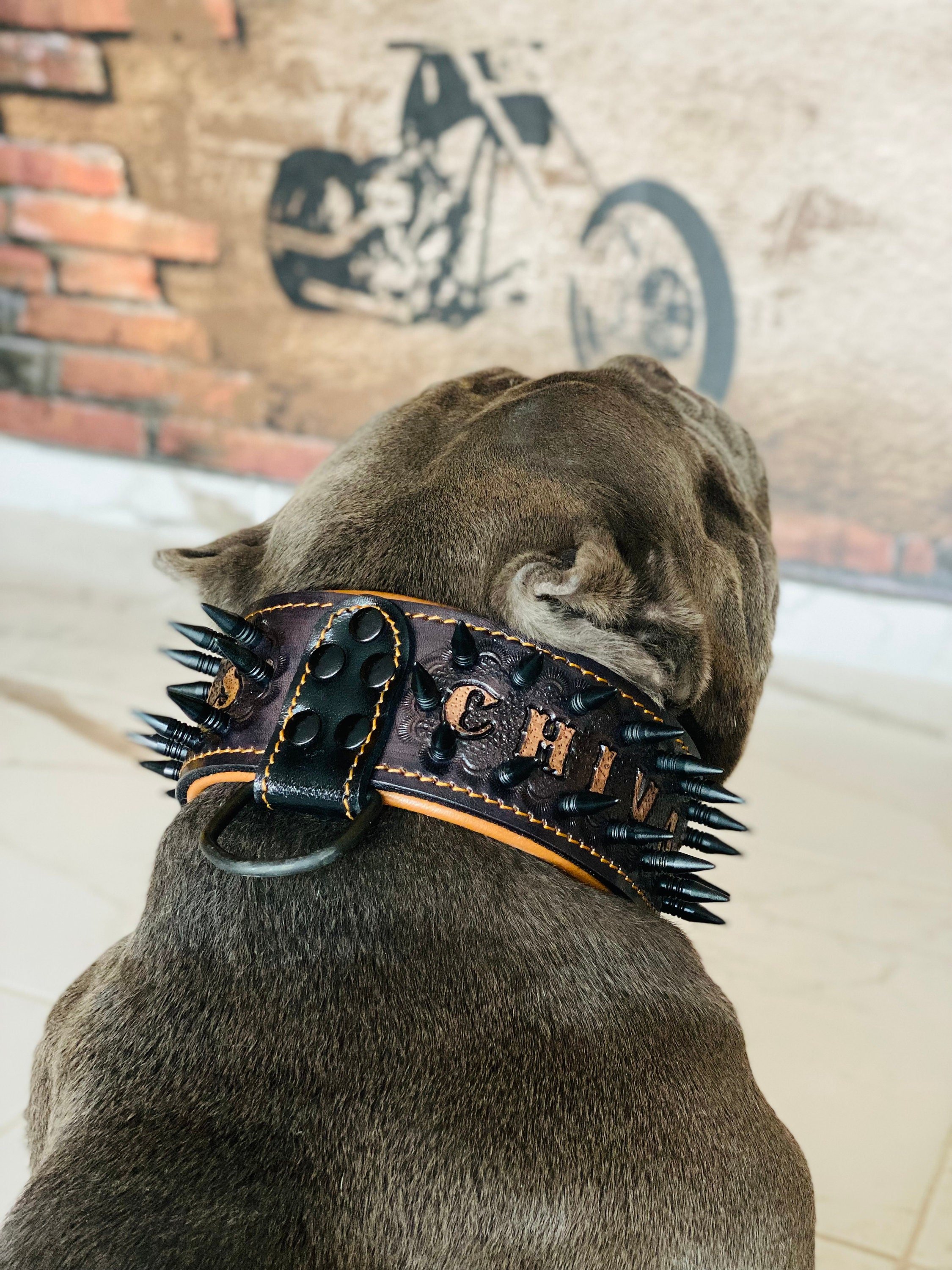 DERİ KÖPEK TASARIM BOYUN TASMASI 