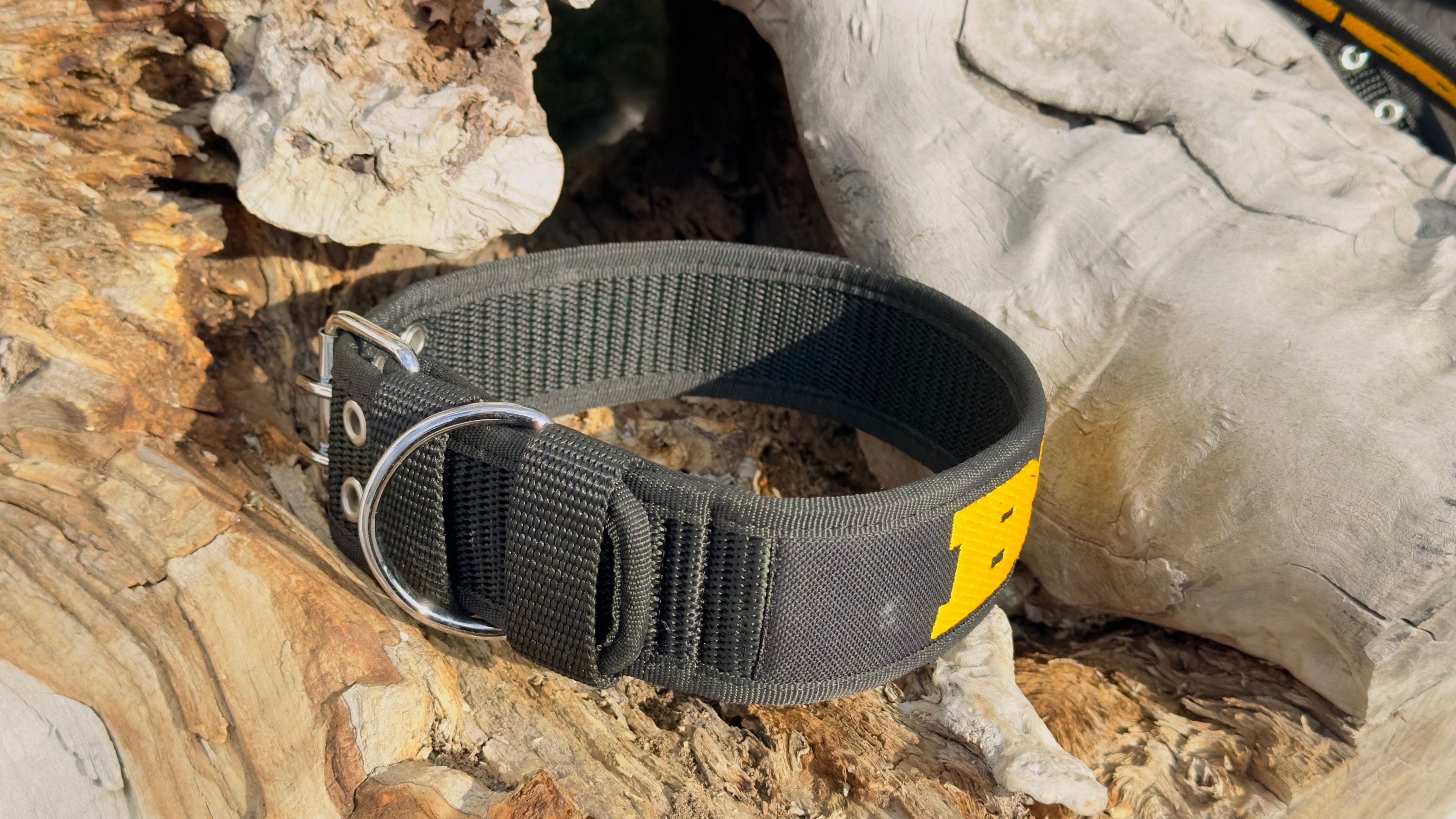 🖤💛 Özel İsimli Sarı Siyah Naylon Köpek Tasması Seti – Boyun, Göğüs ve Gezdirme Kayışı