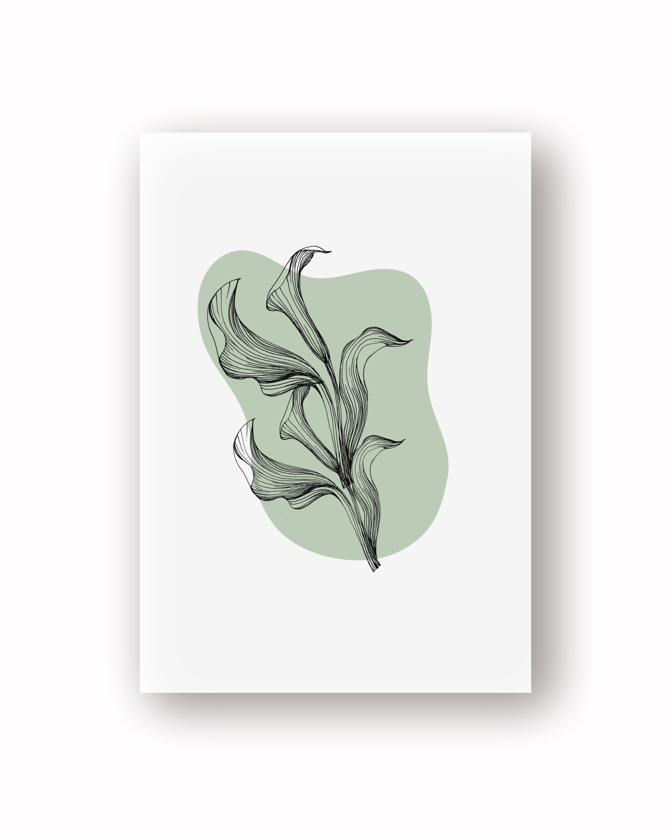 Grace of Nature image
