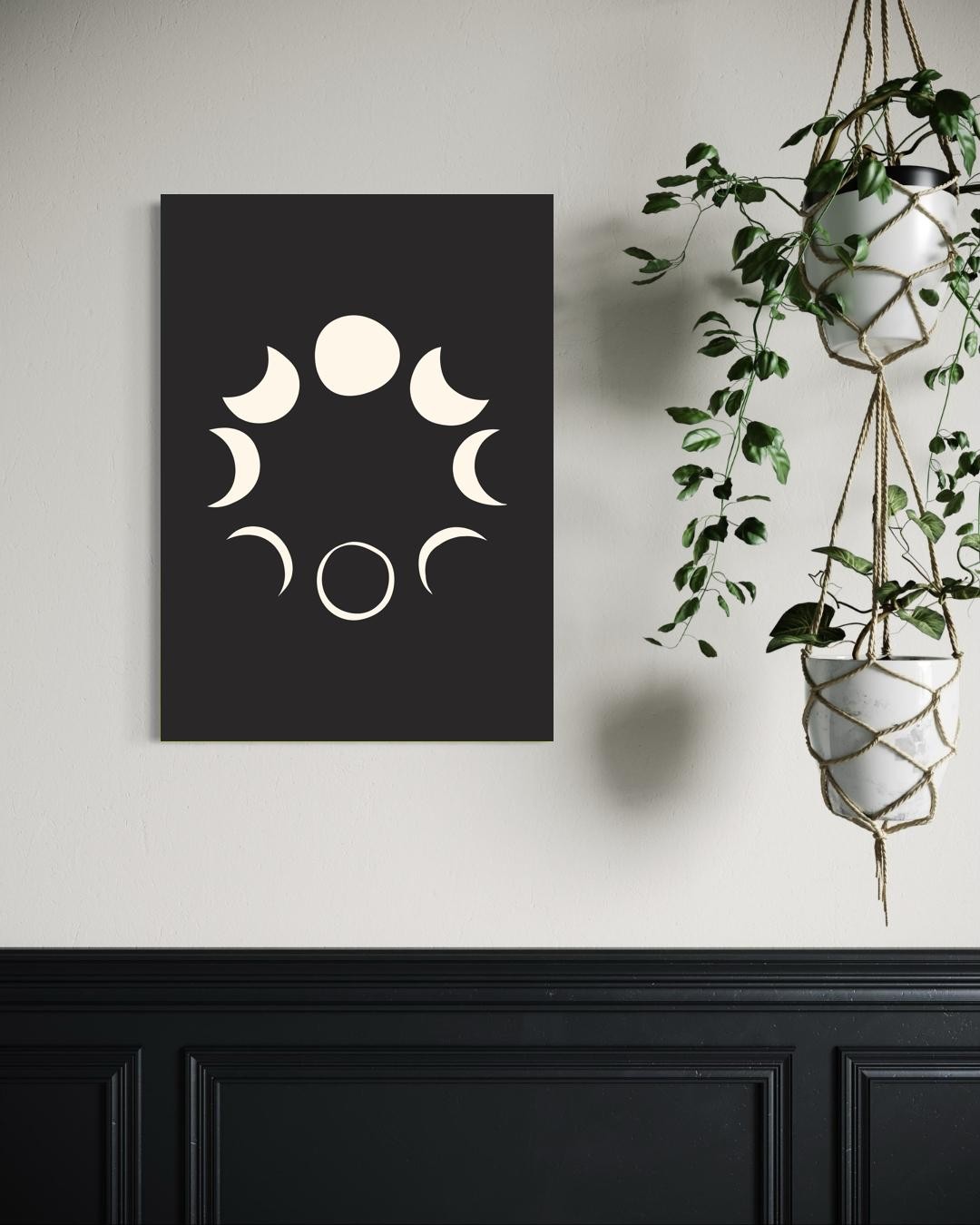 Lunar Cycle