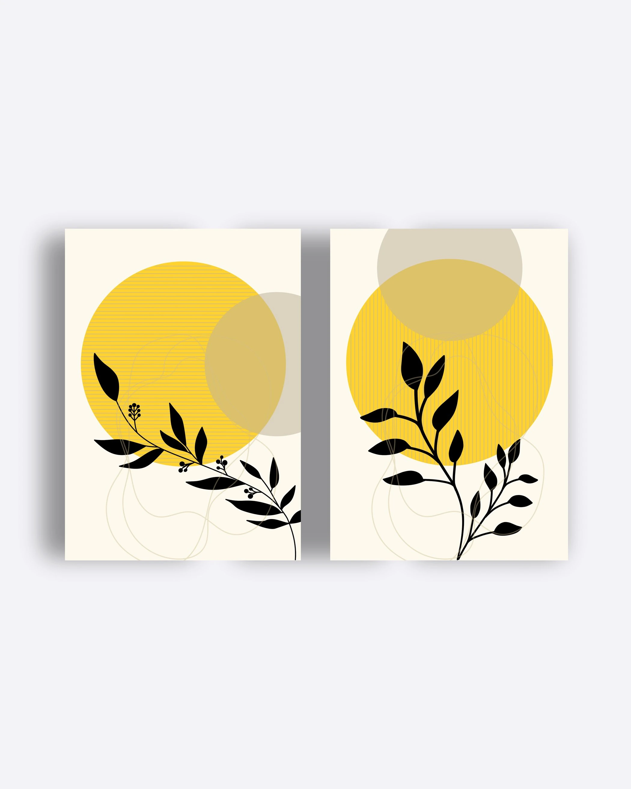 Circle of Nature - İkili Set