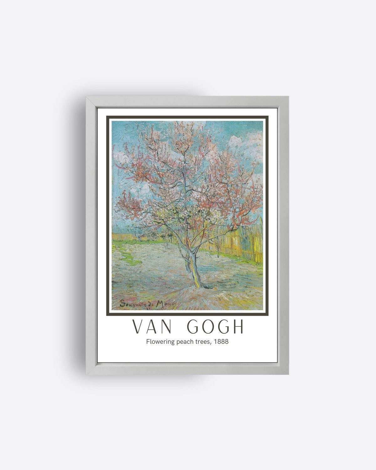 Flowering peach trees, 1888