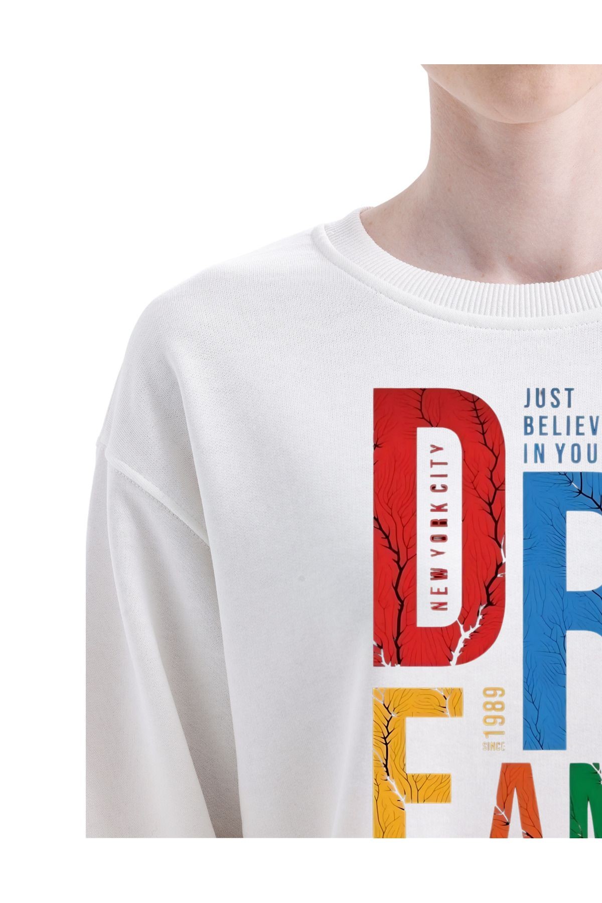 Dtf Baskılı 3 Iplik Şardonsuz Dream Temalı Sweatshirt Beyaz image