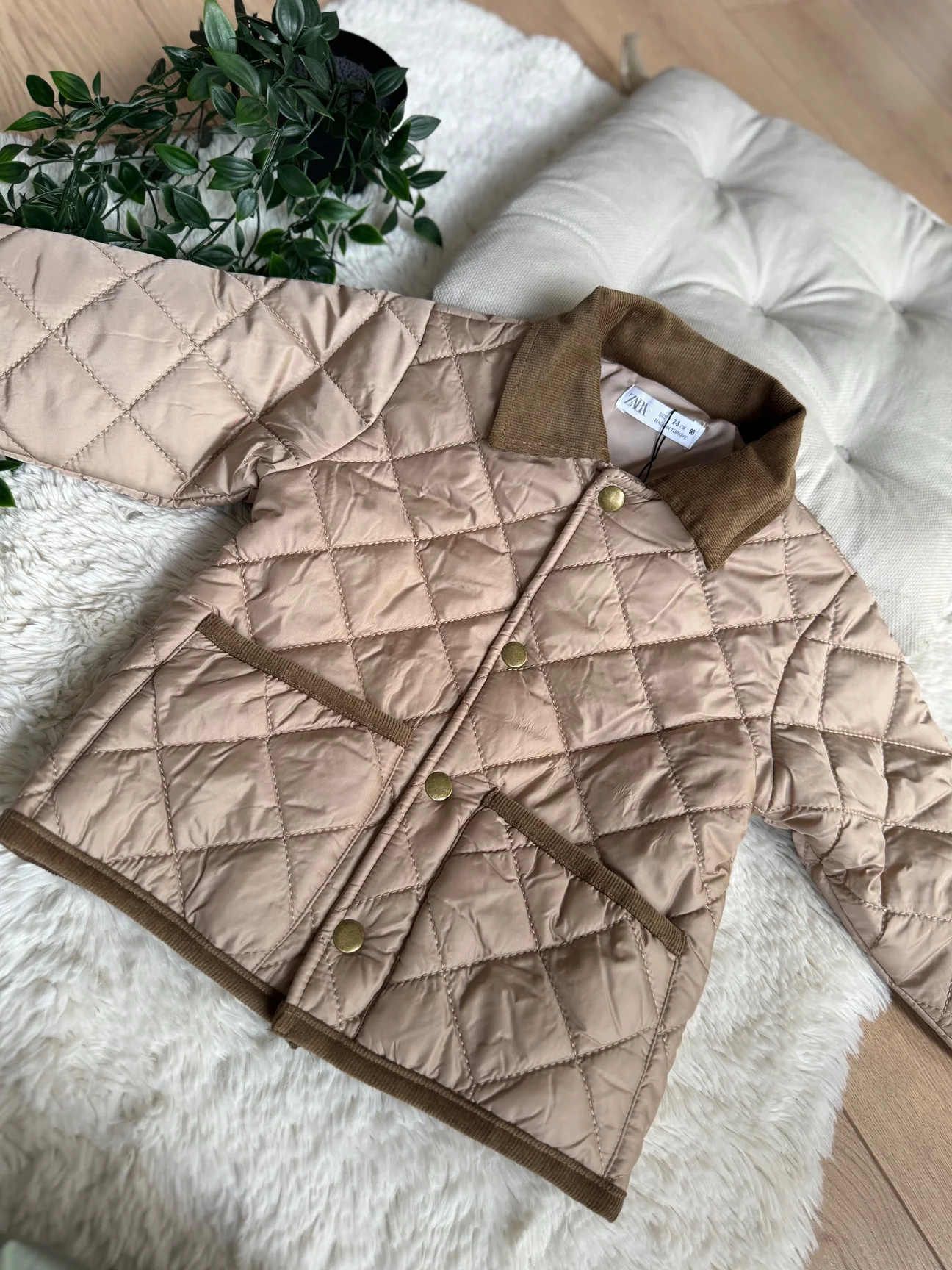 Kahverengi Yakalı Mont