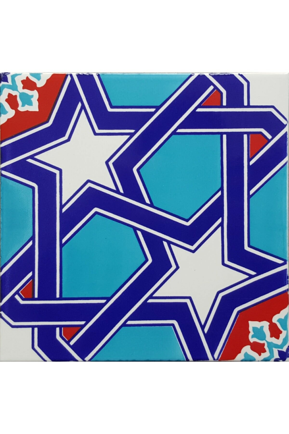 Hand Printed Ceramic Tile - Handcrafted Floor Tile with Geometric Pattern - 8 in [20Cm]