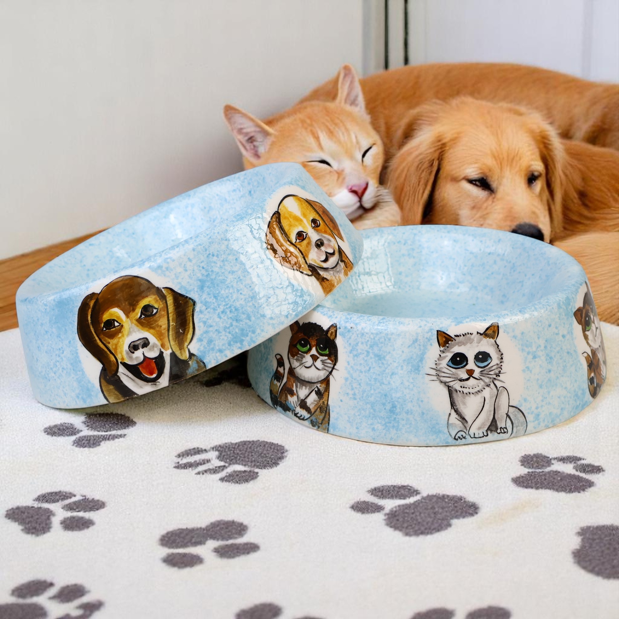 🐶🐱 Hand-Painted Ceramic Pet Bowl – Dog & Cat Design – 600 ml (20.3 fl oz)
