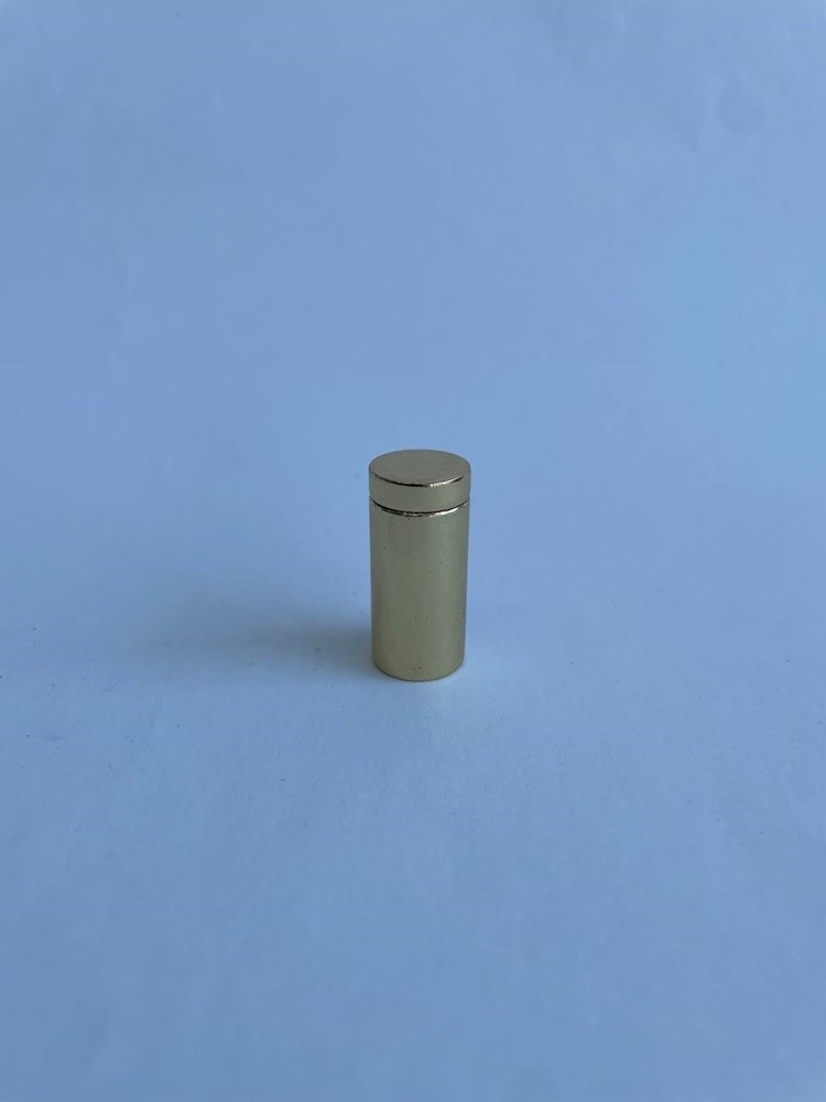 Demir Gold Tabela Vidası 16x30mm