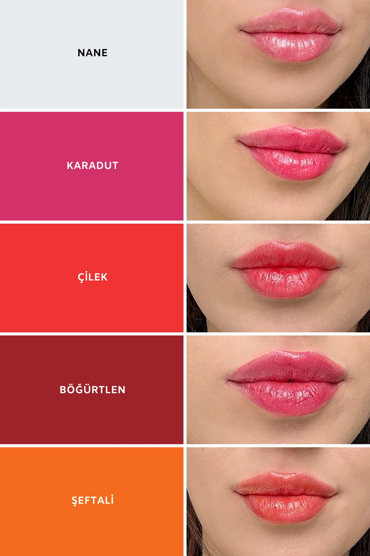 Soltis Dudak Nemlendiricisi SPF50+ - Böğürtlen