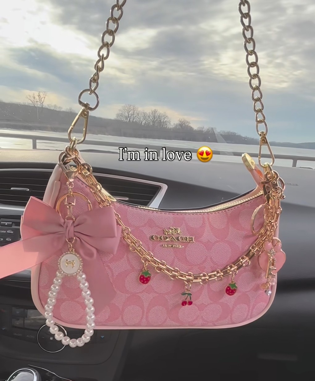 Store bag chery