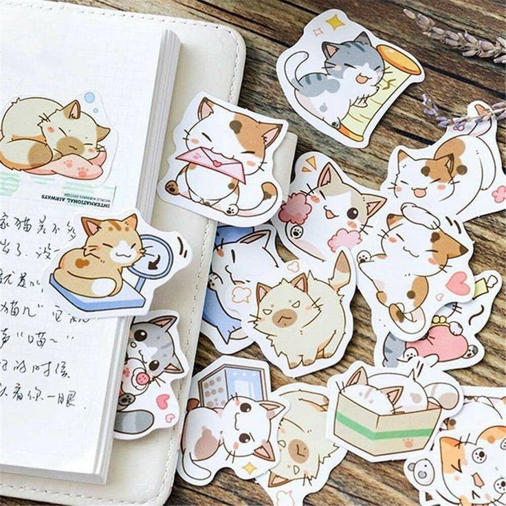 kedi sticker