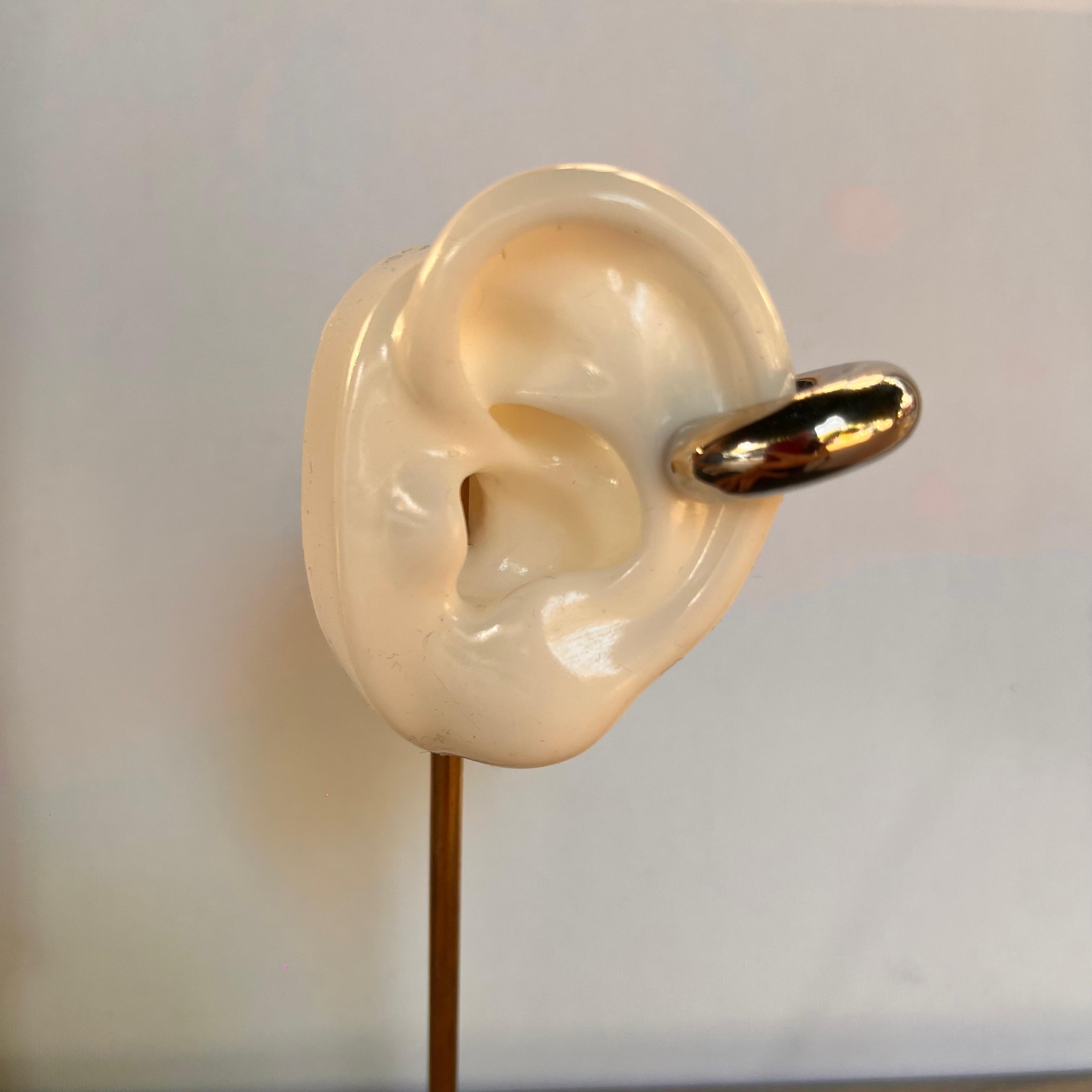 Boru Halka  Silver Kıkırdak Küpe 1192