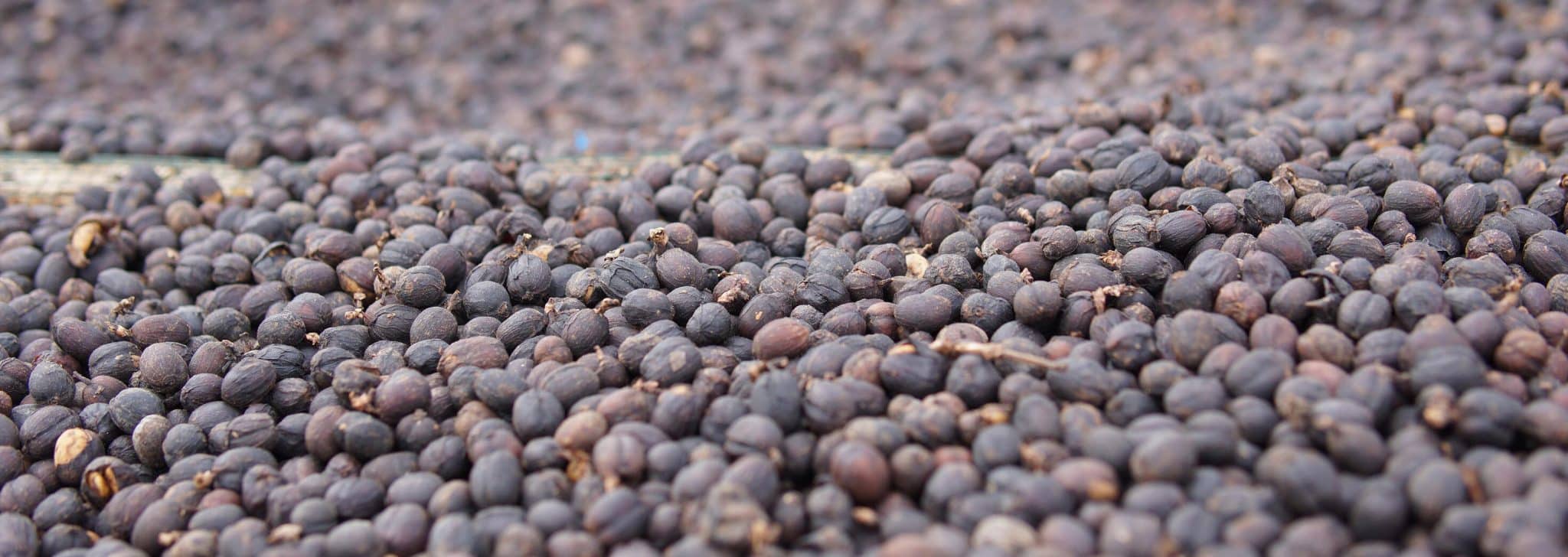 Indonesia Mount Argopuro