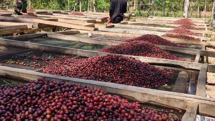 Indonesia Mount Argopuro