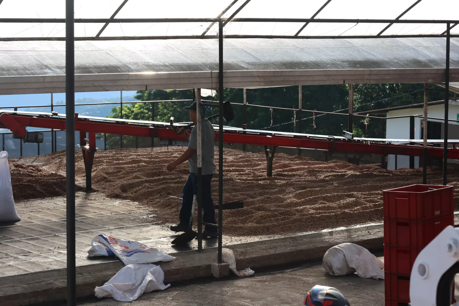 Colombia Regional Valparaiso Natural