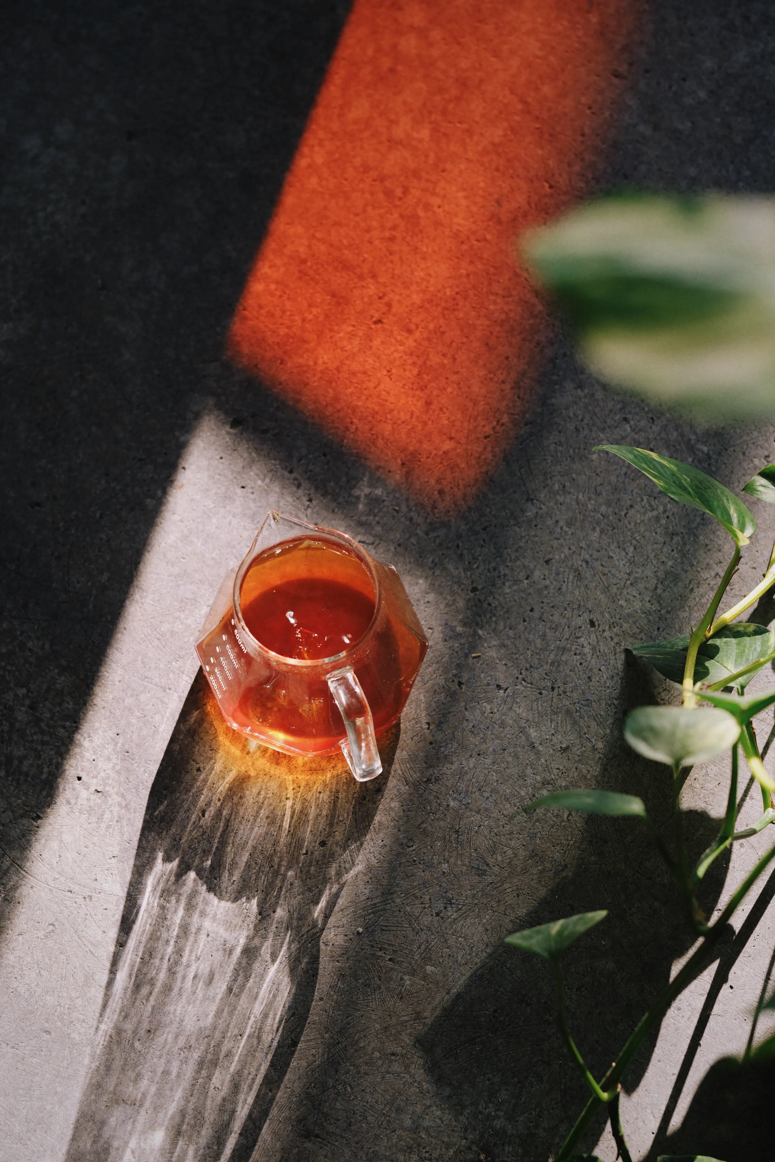 Colombia Lord Voldemort Pink Bourbon