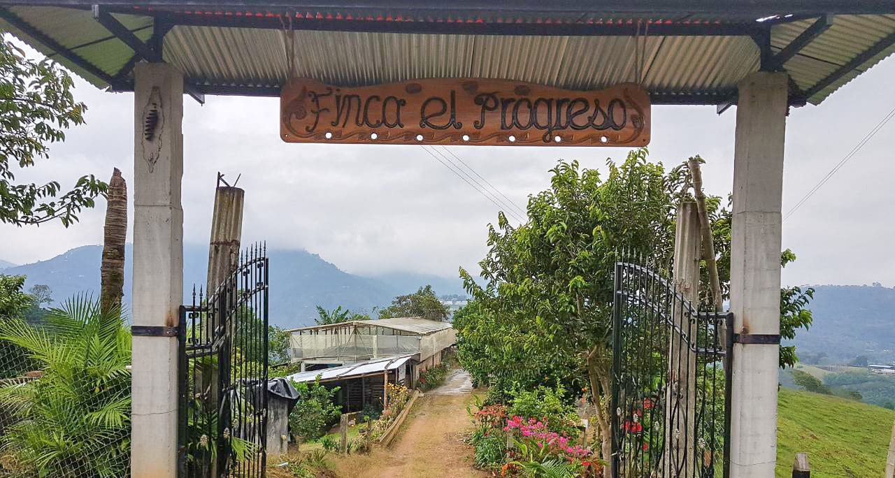 Colombia El Progreso Carbonic Maceration