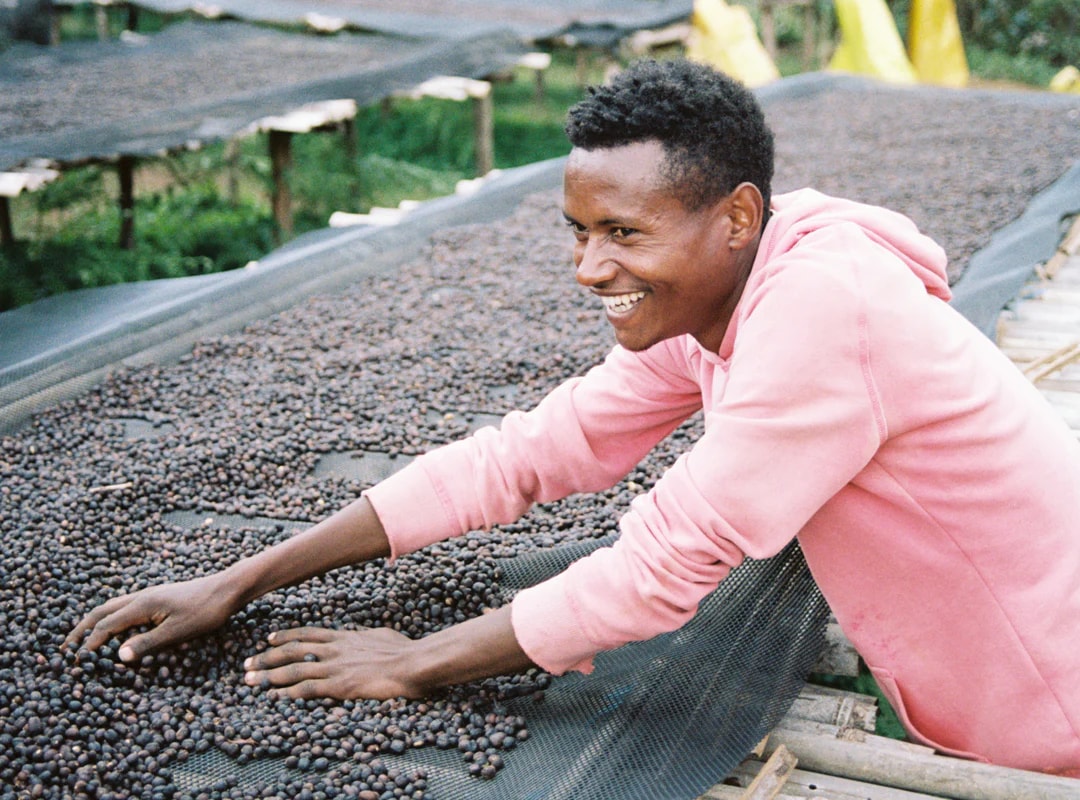 Ethiopia Gara Agena Microlot