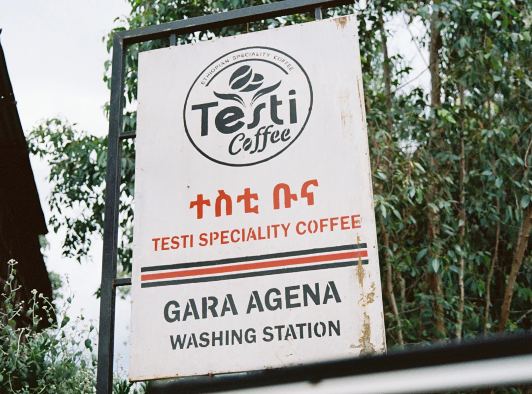 Ethiopia Gara Agena Microlot