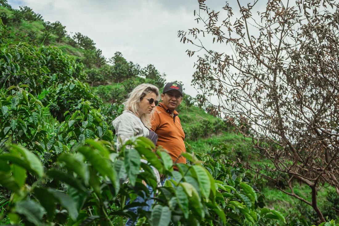 Colombia El Progreso Carbonic Maceration