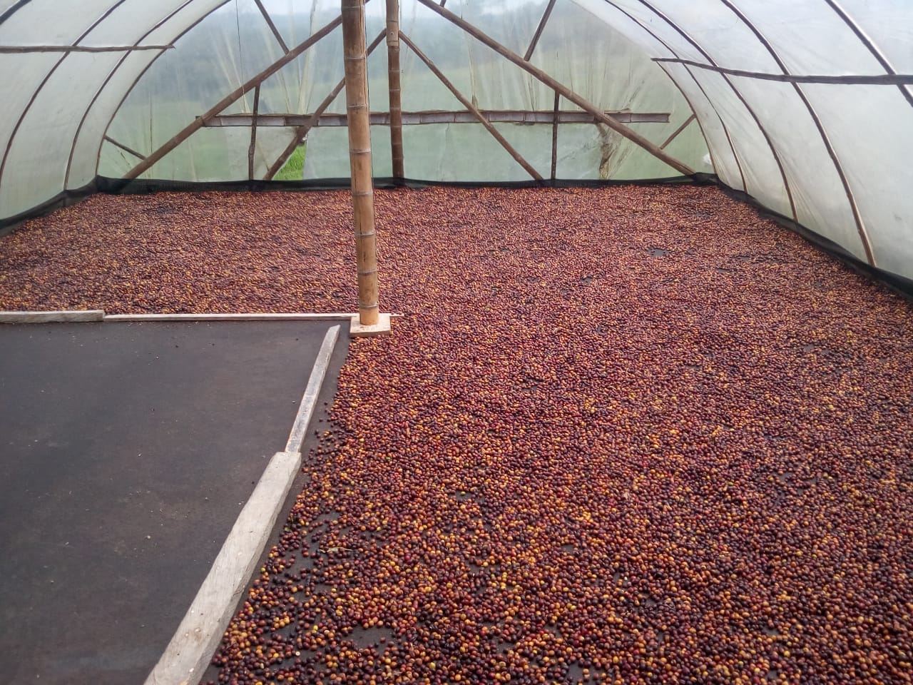 Colombia Regional Valparaiso Natural